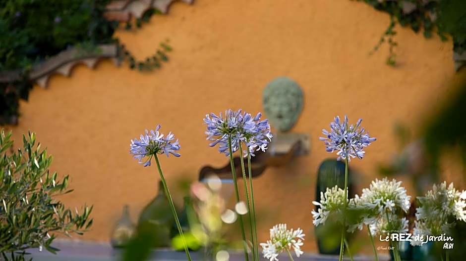 Le Rez de Jardin Albi