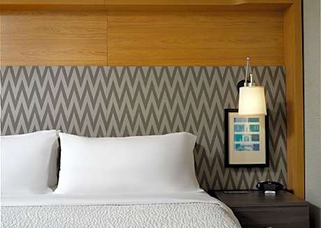 King Suite with Sofa Bed