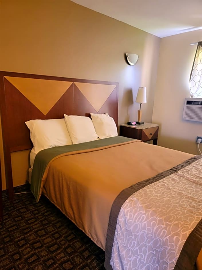 M Star Hotel Mansfield