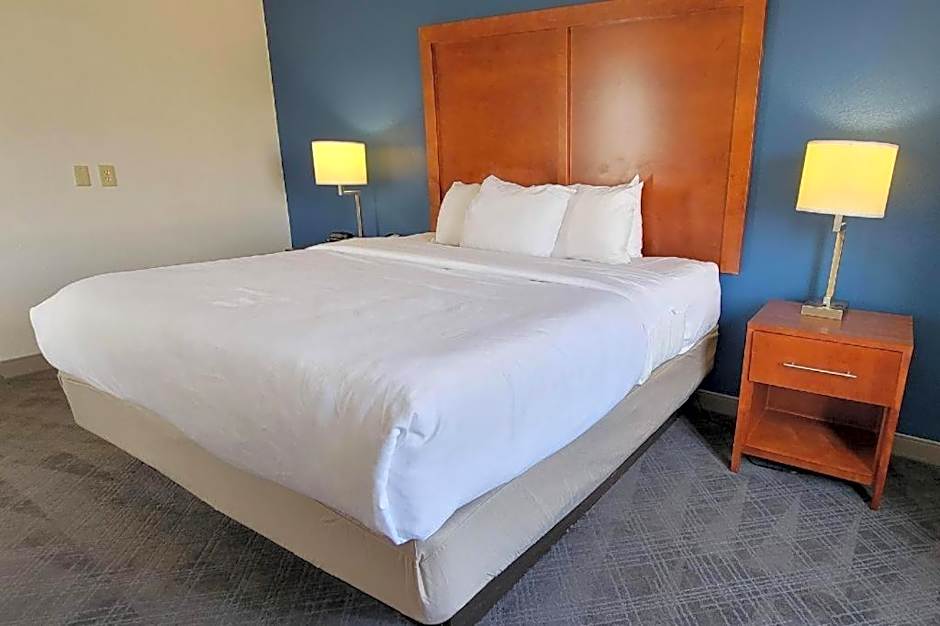 Comfort Inn Bessemer Birmingham South