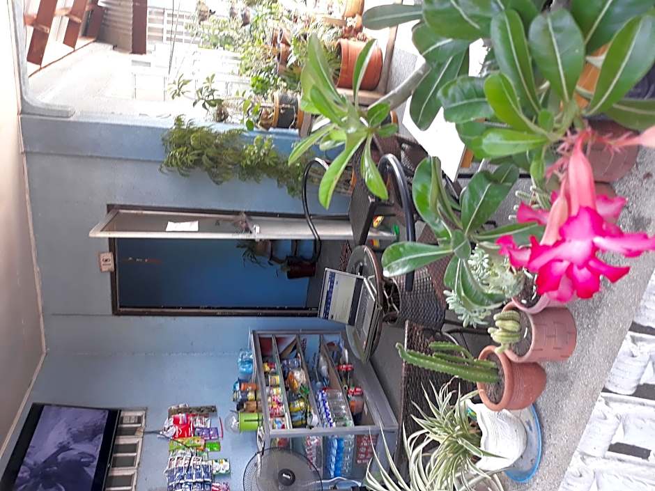 CV Bed and Bath La Union