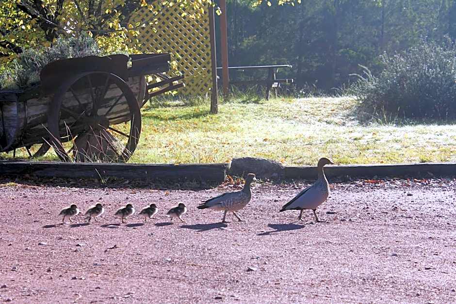 Granite Belt Retreat and Brewery