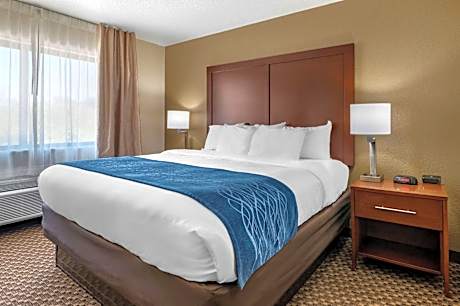 King Room - Non-Smoking