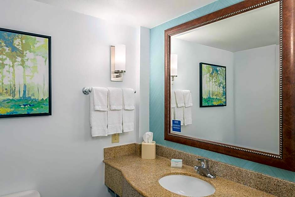 Hilton Garden Inn Lafayette/Cajundome