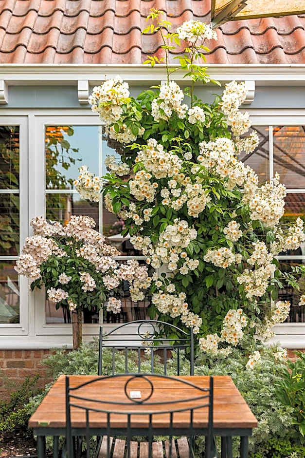 De Lindenhoeve Boutique Hotel