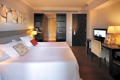 Double or Twin Room with Terrace