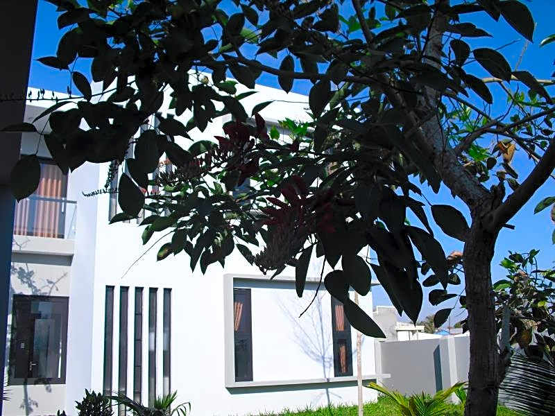 Van Nguyen Minihouse