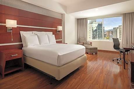 Deluxe Room,  1 King Bed