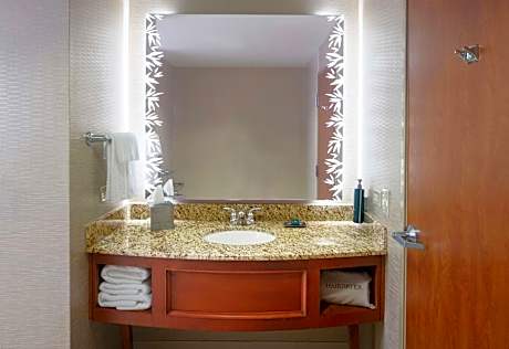 One-Bedroom Mini Suite