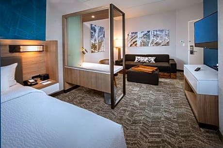 SpringHill Suites by Marriott Gainesville Haymarket