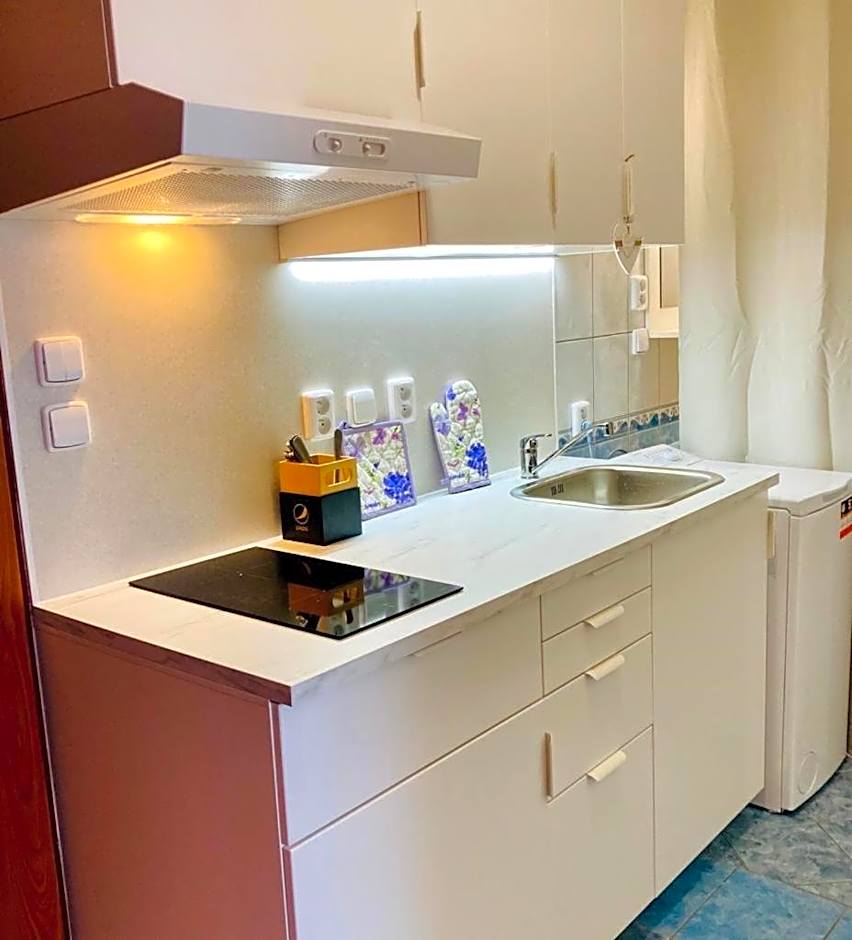 Apartmány, Penzion, Wellness U zlaté rybky