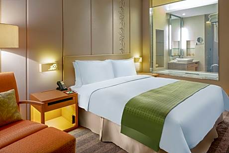 1 King Standard Lake View