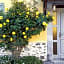 Maison d'hôtes Les 3 Baudets