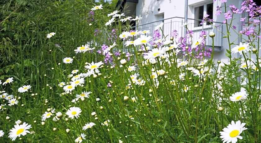Loft Island Ferienwohnung Leutkirch Isny im Allgäu