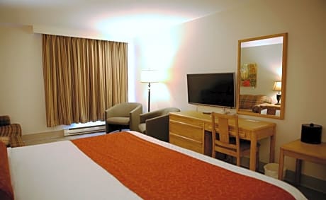 Premier King Room with Sofa Bed