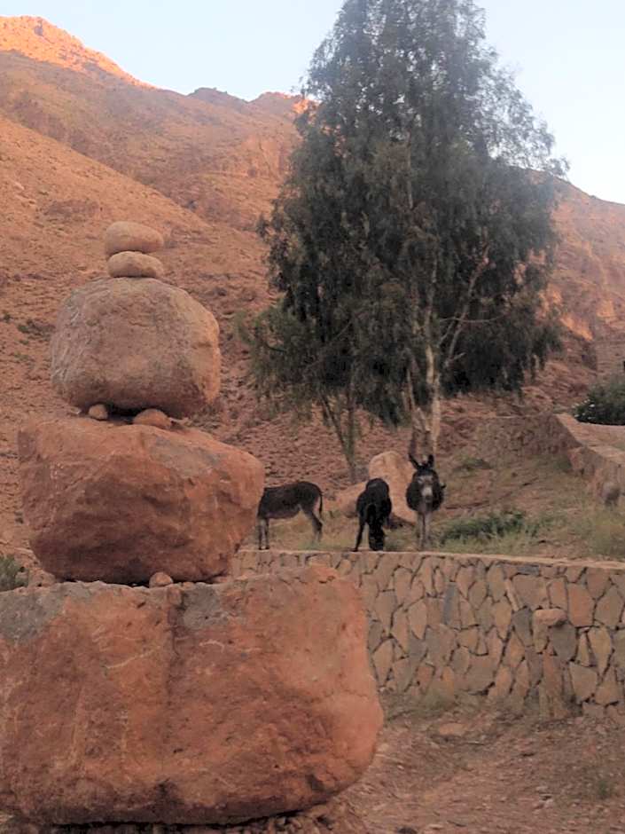 Auberge Le Festival Todra Gorge