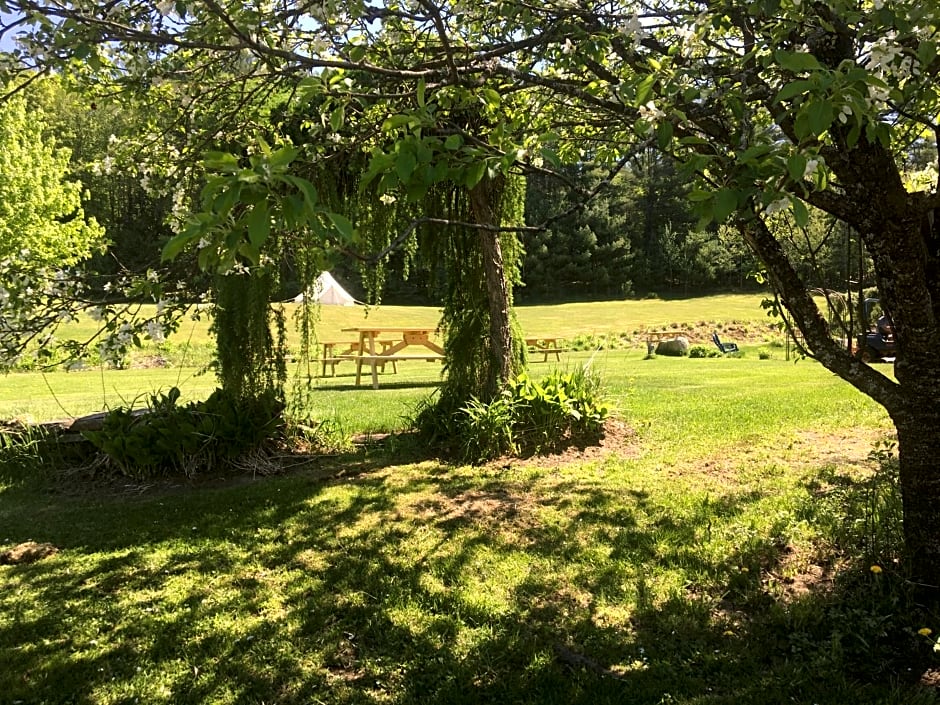 Craftsbury Farmhouse