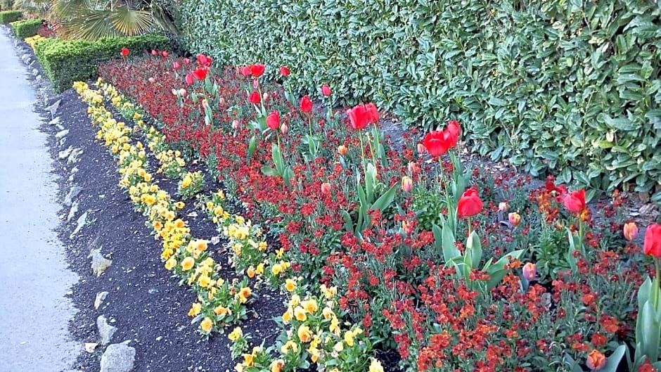 Jan's Boutique B & B Suite