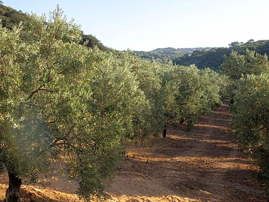 Hacienda Fresneda María by Real Spain Hotels Adults Recommended