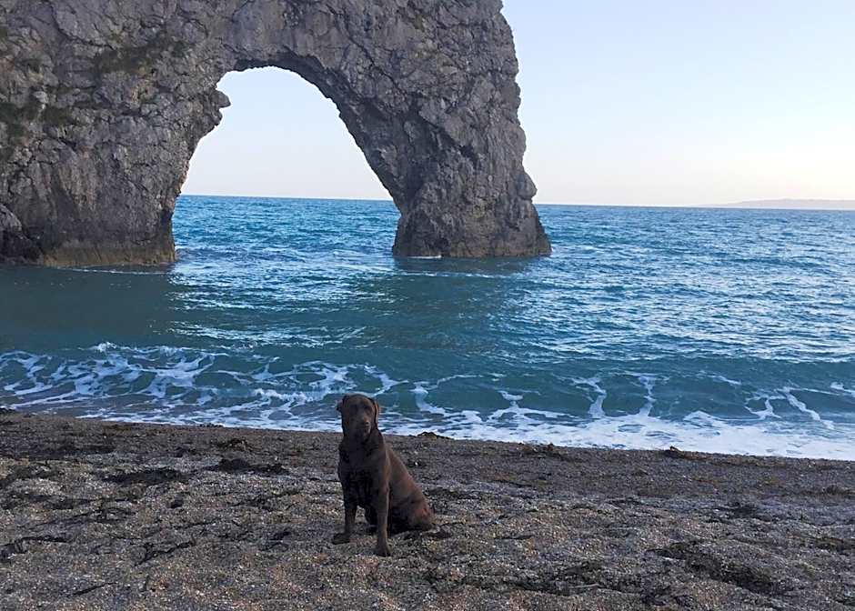 New Inn - Dorchester