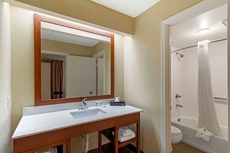 1 King Bed, Suite, Nonsmoking