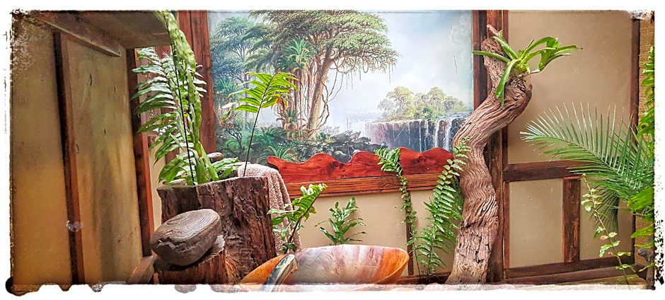 Chinderera Eco Lodge