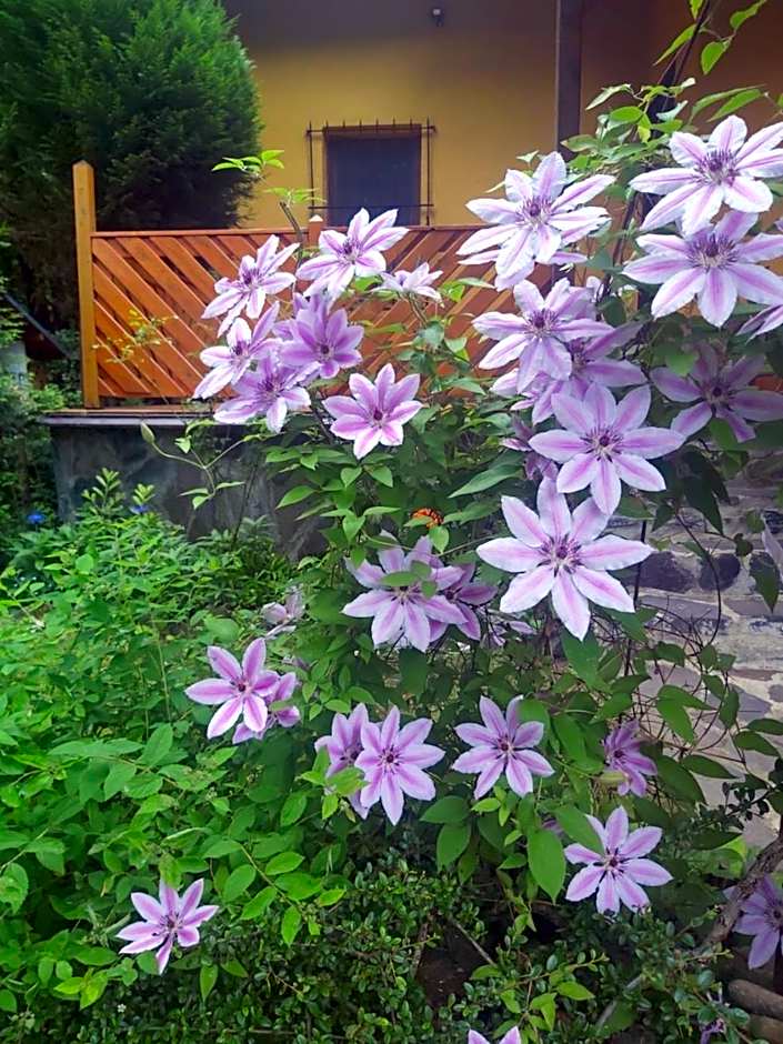 Chata nad kúpaliskom