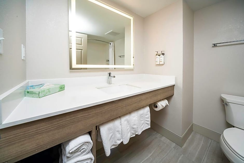 Holiday Inn Express and Suites Atlanta-Johns Creek By IHG