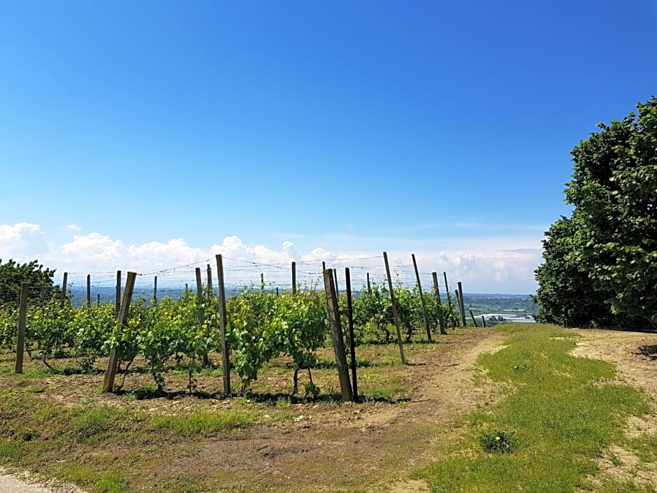 La Collina dei Passeri