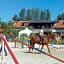 Silver Horse Ranch