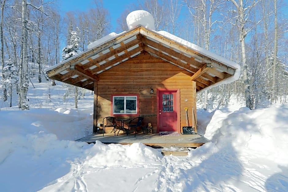 Birch Cabin