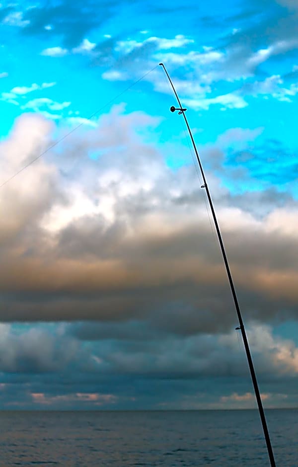 Nicholson BnB and Arts Centre