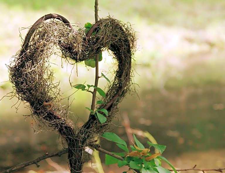 Hotel Farchauer Mühle