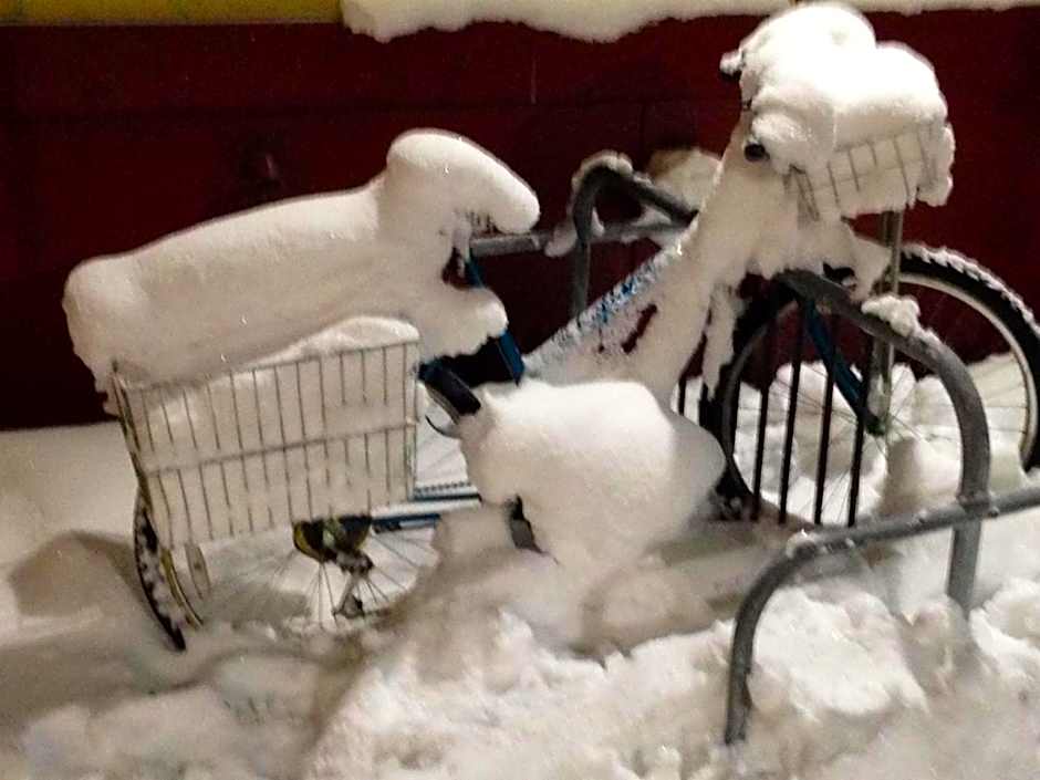 Billie's Backpackers Hostel