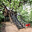 Pugdundee safaris - Tree House Hideaway