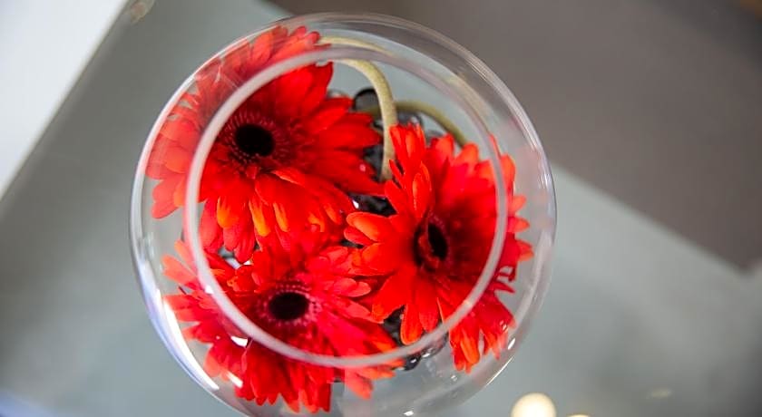 Velvet 2-bedroom apartment Clock House - Hoddesdon