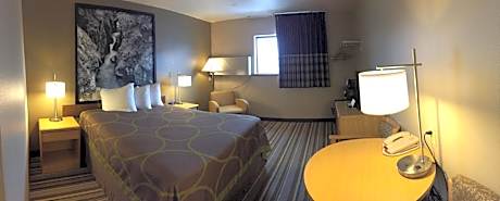 Queen Room - Pet Friendly