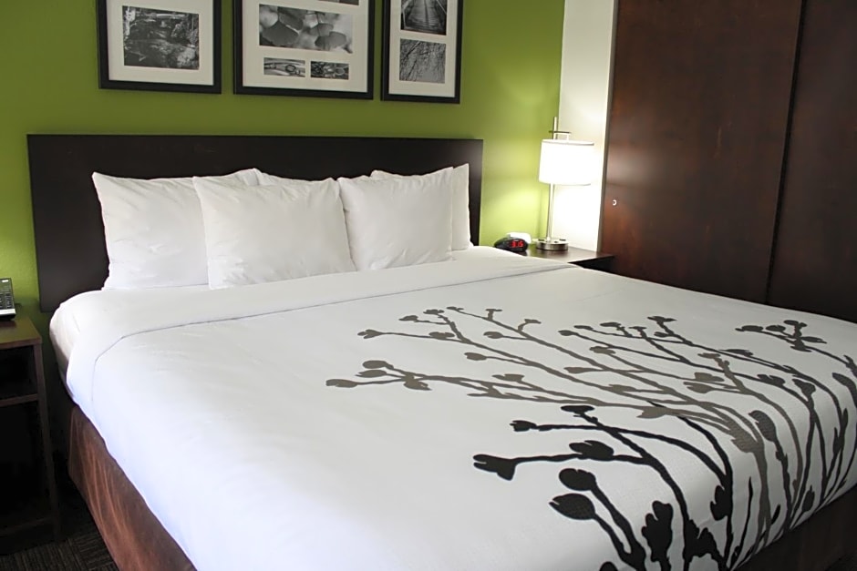Sleep Inn & Suites Belmont / St. Clairsville