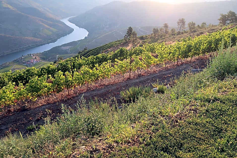 Stay at the Winemaker