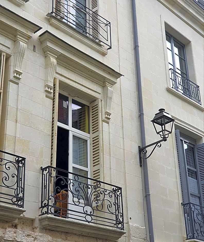 Hotel Du Cygne Tours