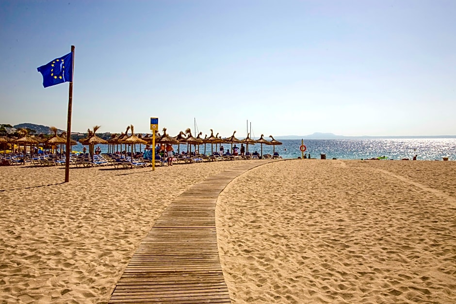 Globales Panamá - Only Adults +16