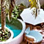 Casa Leah - Full Ocean View Apartment- Zicatela - AC in Bedroom - Steps To Beach - Steps to la Punta
