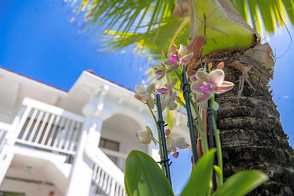 Palm Breeze Hotel