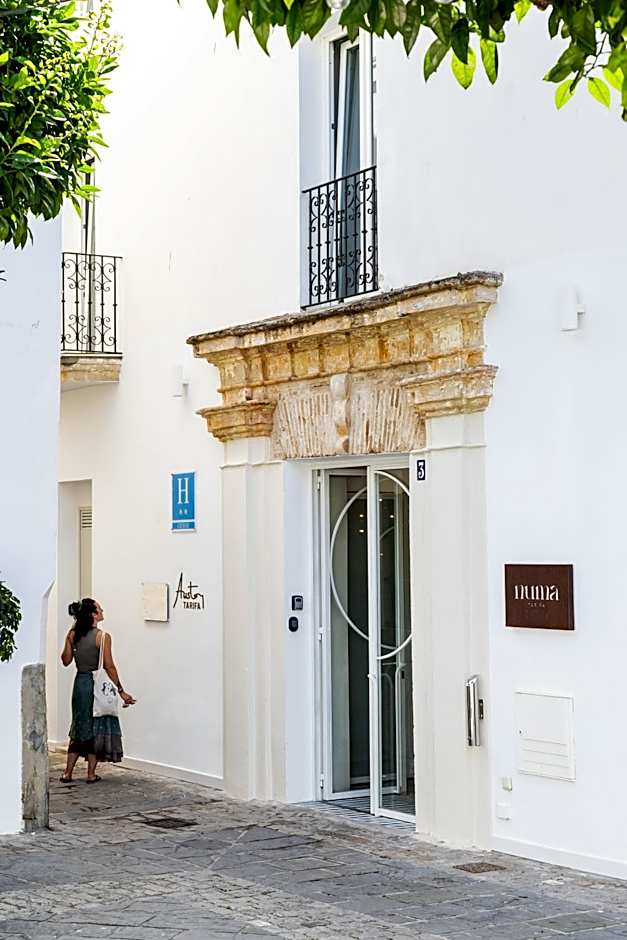 Aristoy - by Grupo Tribu