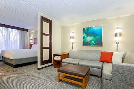 King Room with Sofa Bed and Accessible Tub - Disability Access