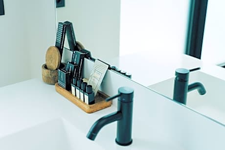 Double Room with Terrace