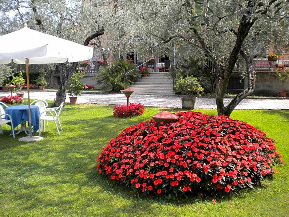 Hotel Garden