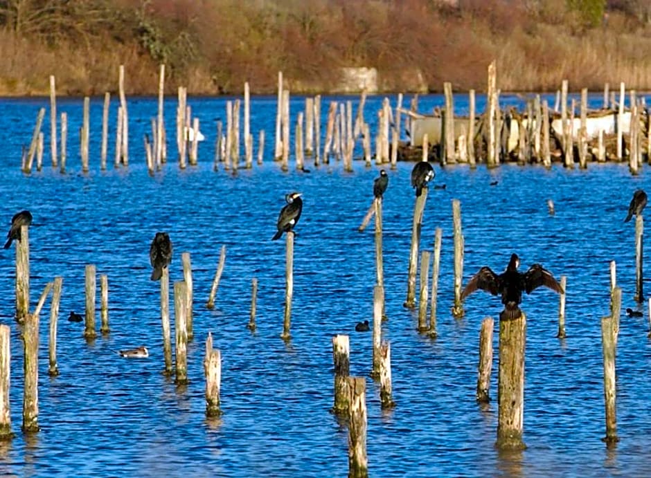 La Cabane Bohème, Maison d'hôtes Bassin d'Arcachon