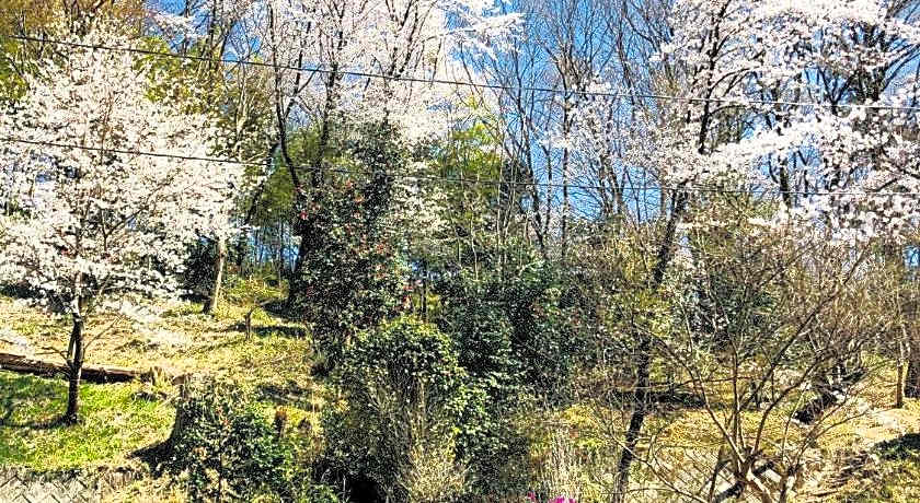 Temple Hotel Ryutakuzenji