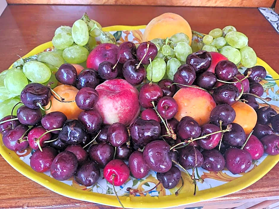 Bed & Breakfast Delle Palme
